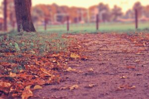 Home salud mental en la comunidad hispana: rompiendo el
