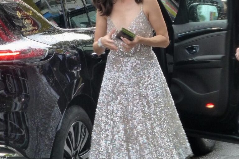 cannes pelicula